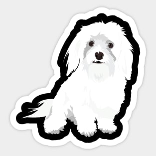 Animal Vignette : Maltese Dog Breed Sticker